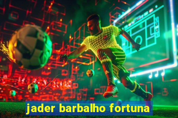 jader barbalho fortuna